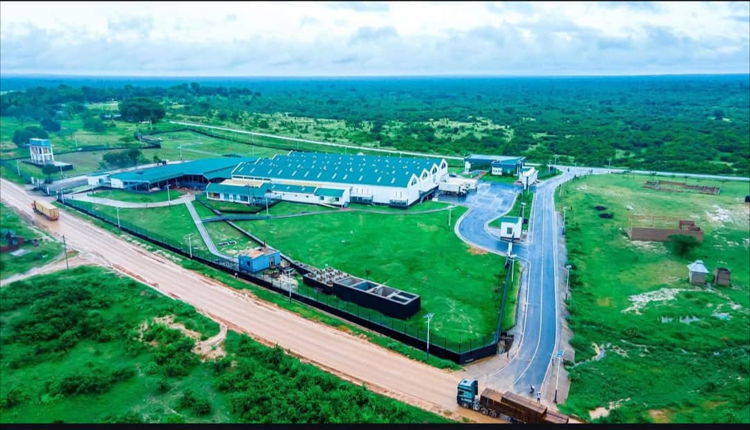 Solar Panel Farm Installation
